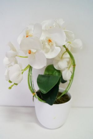 Изкуствена орхидея бяла в кашпа 